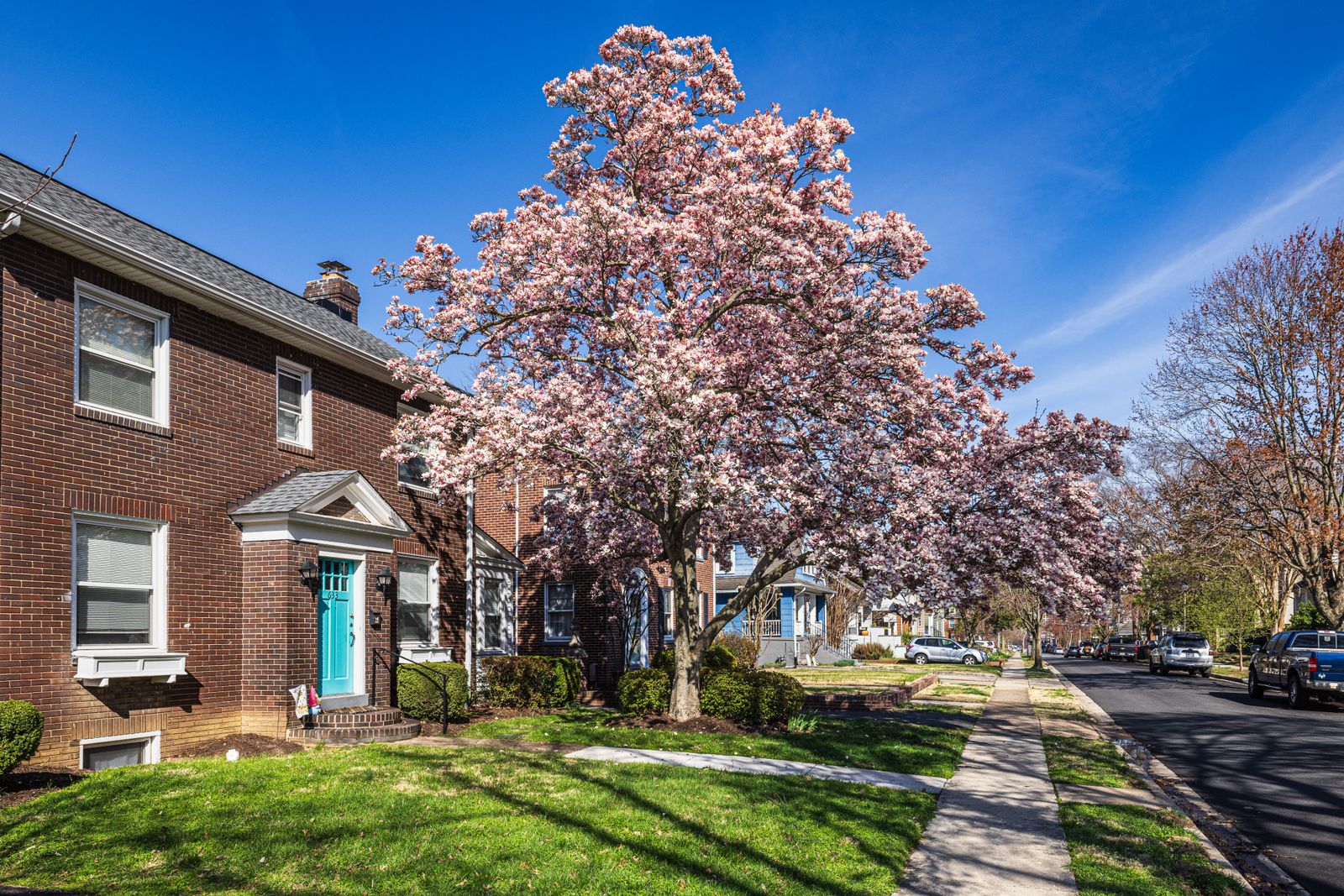 Neighborhood street in Carmel and Westfield